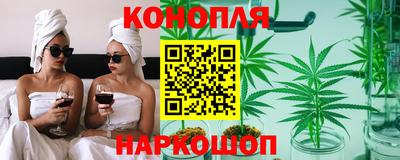 дмт Новодвинск