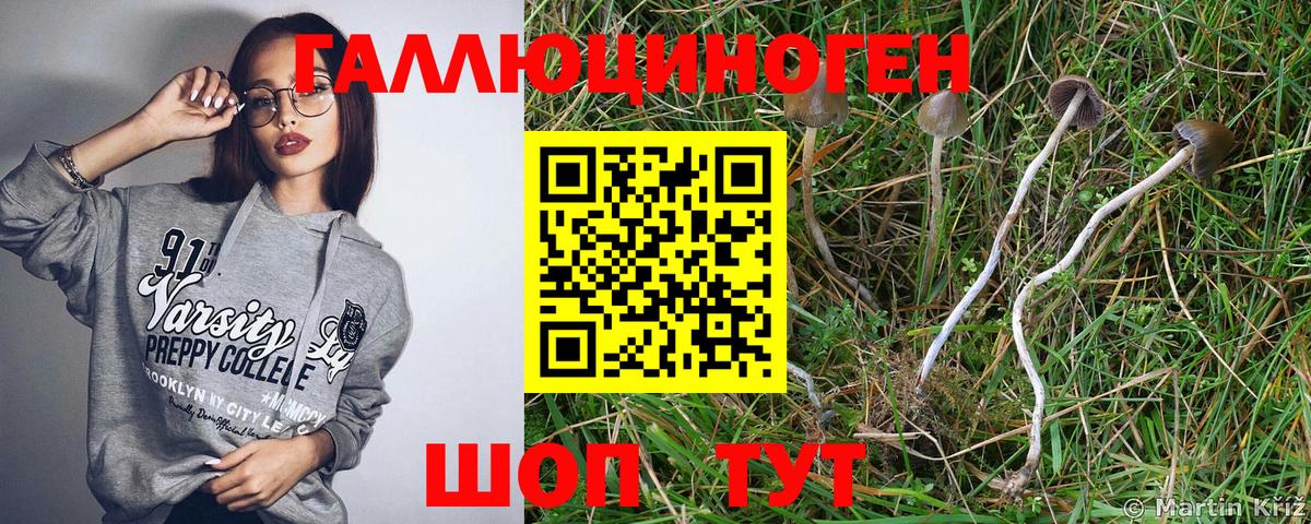 Псилоцибиновые грибы GOLDEN TEACHER  Вход с VPN  Ачинск 
